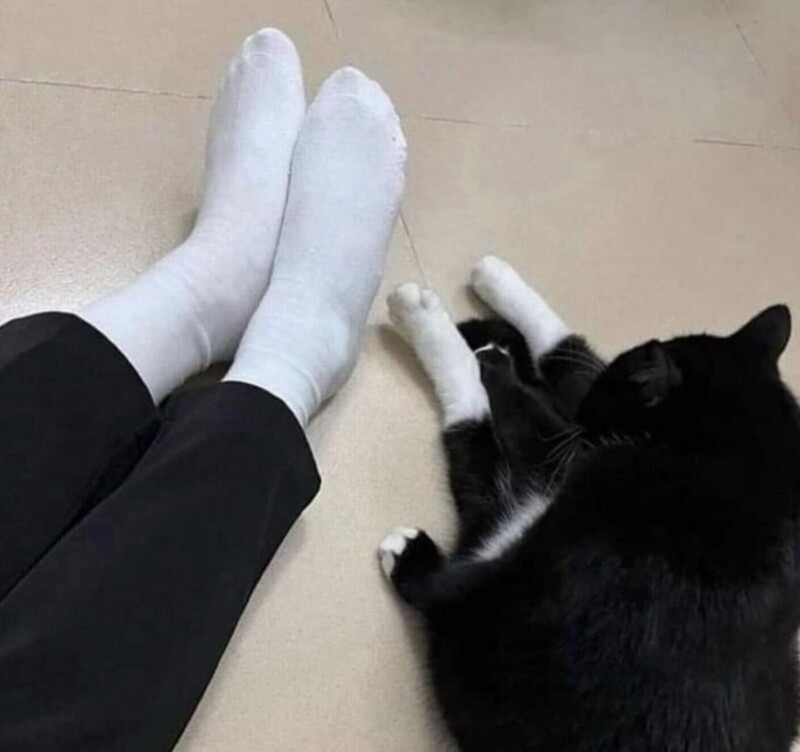 24.  Посидим, помолчим