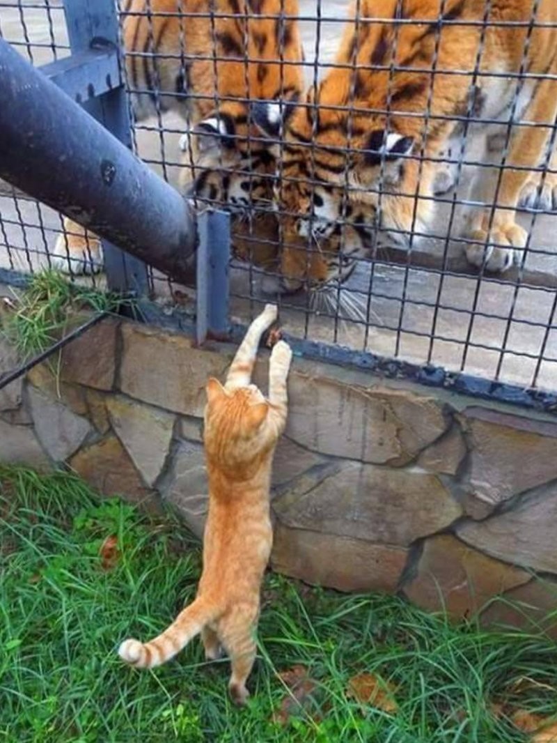 26. Моя родня