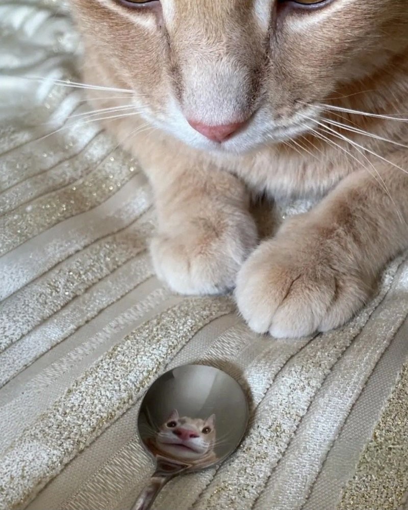 16. Я ль на свете всех милее?