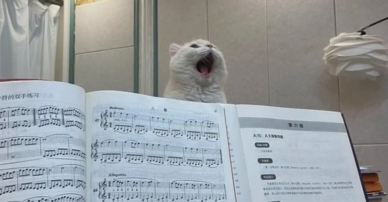 23. А напоследок я спою