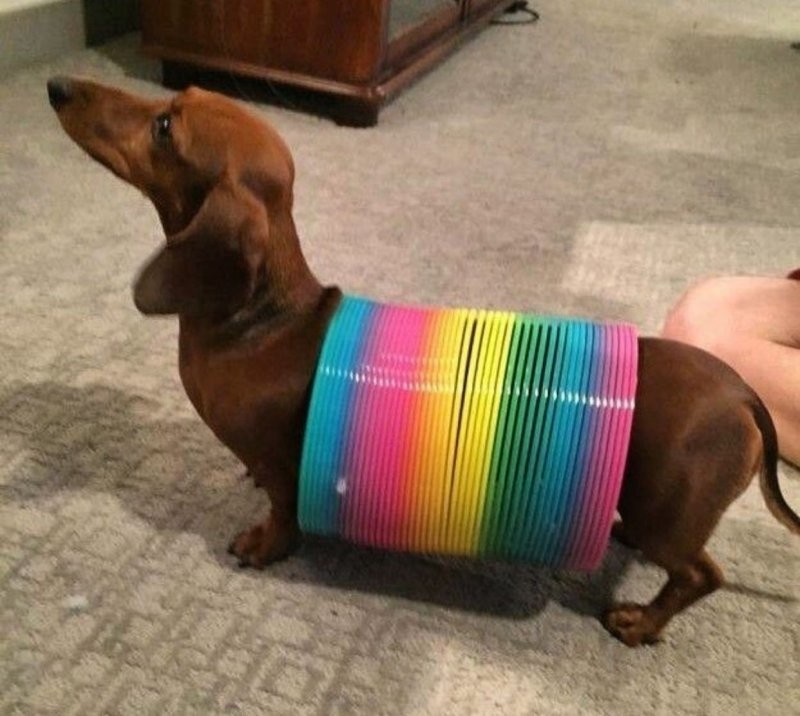 9. Форма и содержание - идеальное попадание