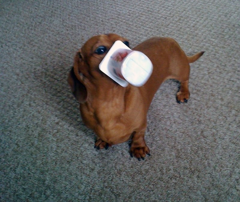 25. Какова вкуснота