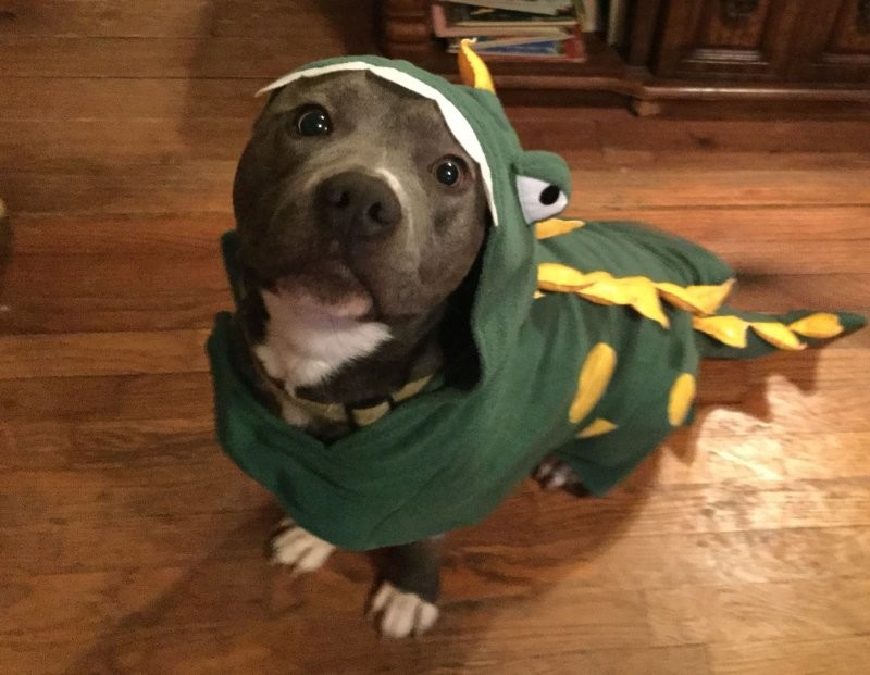 2. Драконы среди нас