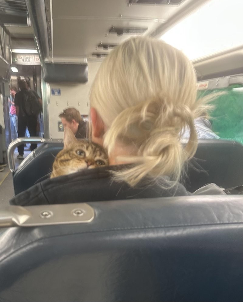 6. Моя любовь