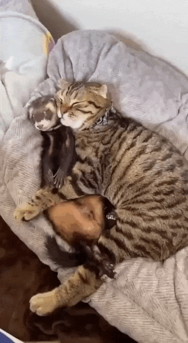 Просто гифки, всякие и&nbsp;разные