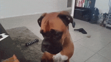 Просто гифки, всякие и&nbsp;разные