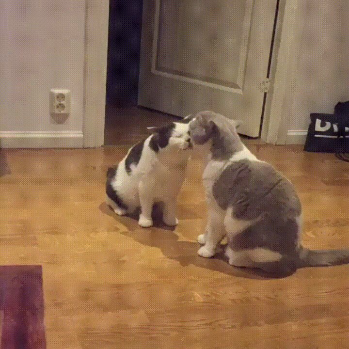 Просто гифки, всякие и&nbsp;разные