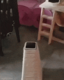 Просто гифки, всякие и&nbsp;разные