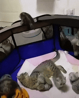 Просто гифки, всякие и&nbsp;разные