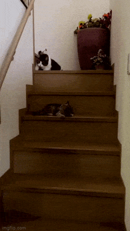 Просто гифки, всякие и&nbsp;разные