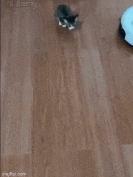 Просто гифки, всякие и&nbsp;разные