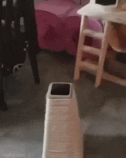 Просто гифки, всякие и&nbsp;разные