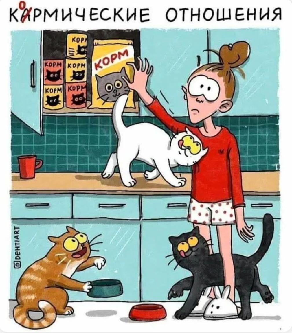 4. Кормические отношения бывают не только с котами, но и с мужем-тарелочником