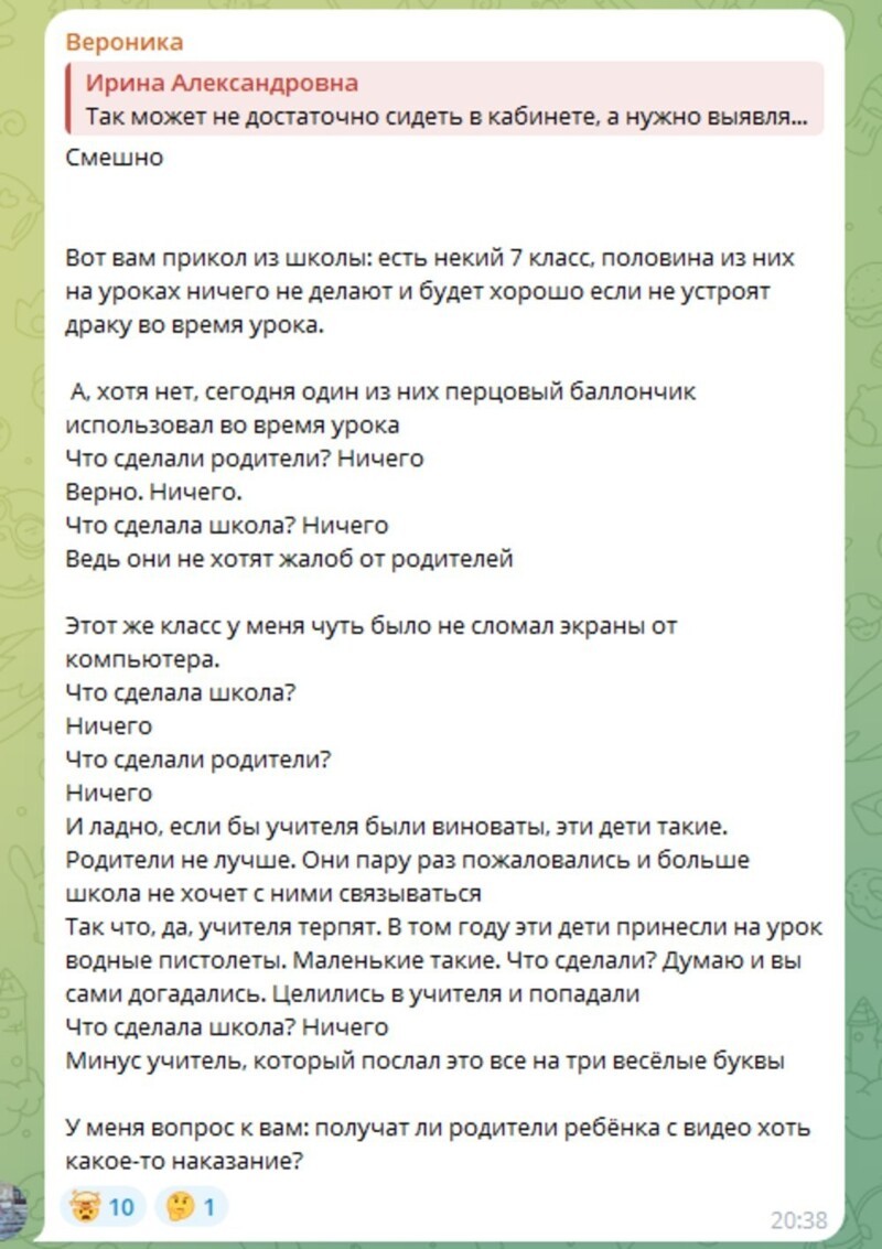"Мария Дмитриевна, здесь ужас!": в Подмосковье школьник напал на одноклассника и избил его