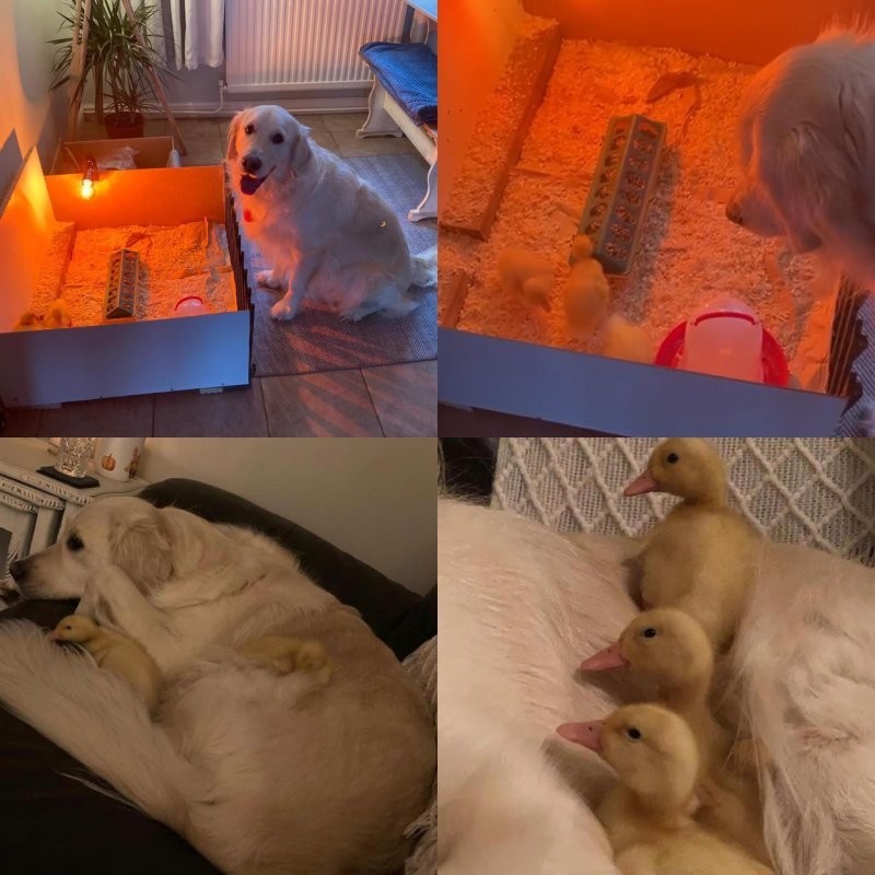 15. Тепла моей души хватит на всех