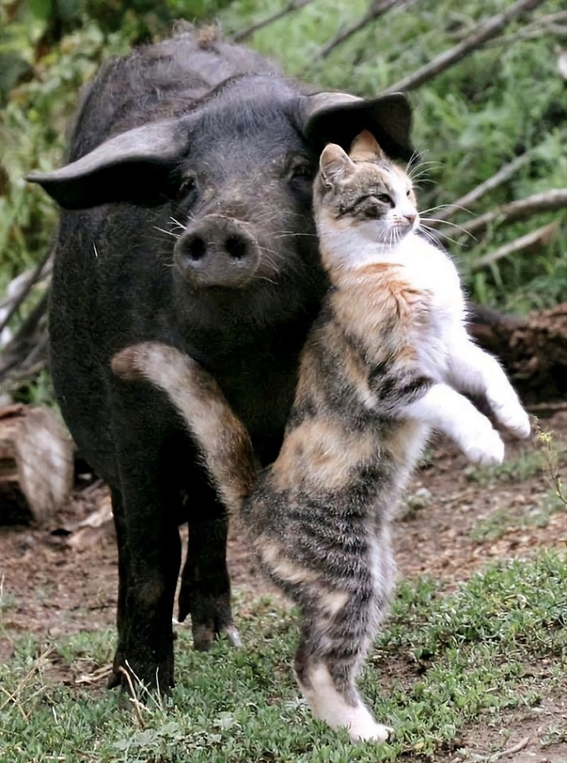 14. Удивительное рядом