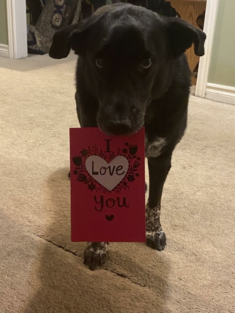 1. Я подарю тебе любовь