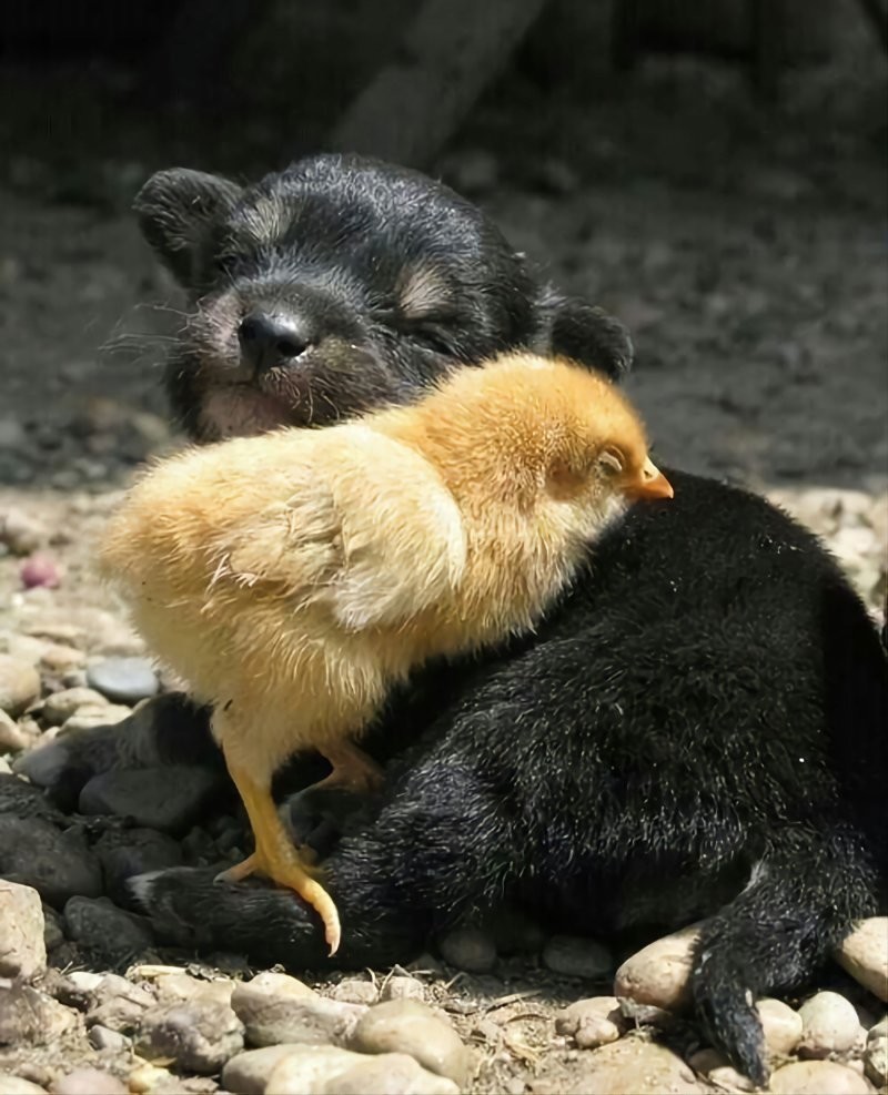 10. Солнца хватит на всех