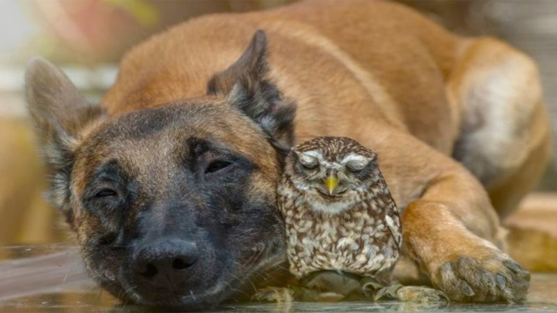 7. Для счастья нужно просто вместе помолчать