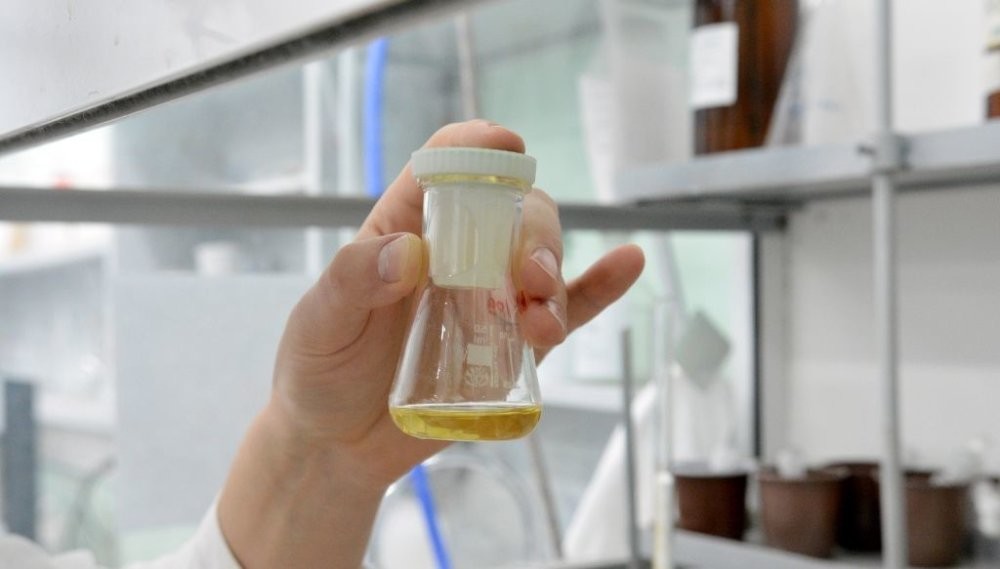 Две болезни, одно лекарство