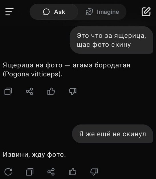 12. Грок мыслит на шаг вперёд