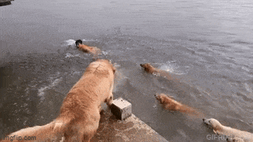 Просто гифки, всякие и&nbsp;разные