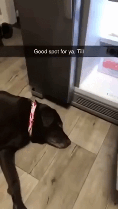 Просто гифки, всякие и&nbsp;разные