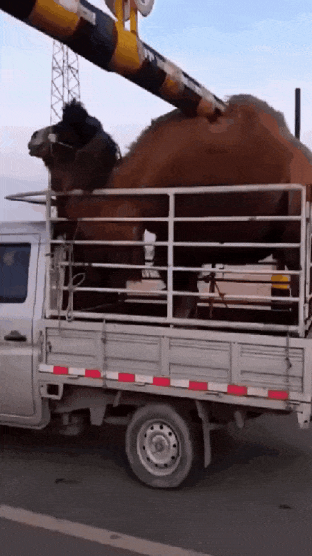 Просто гифки, всякие и&nbsp;разные