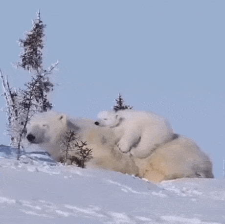 Просто гифки, всякие и&nbsp;разные