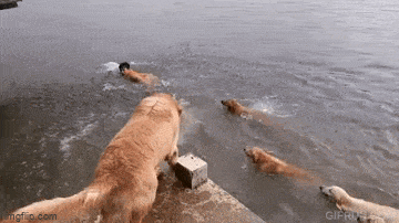 Просто гифки, всякие и&nbsp;разные