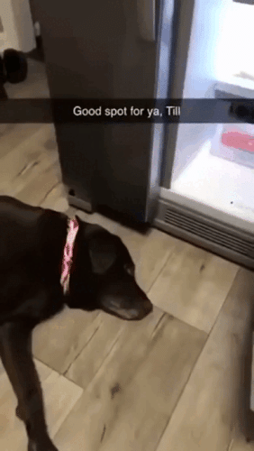 Просто гифки, всякие и&nbsp;разные