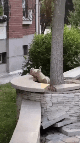 Просто гифки, всякие и&nbsp;разные