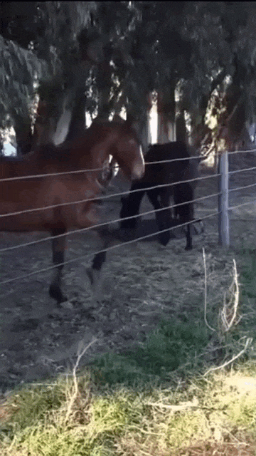 Просто гифки, всякие и&nbsp;разные