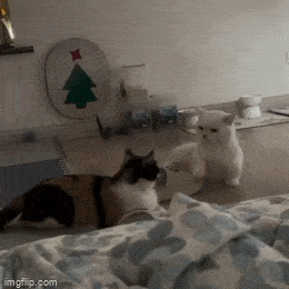 Просто гифки, всякие и&nbsp;разные