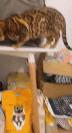 Просто гифки, всякие и&nbsp;разные