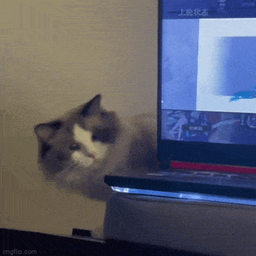 Просто гифки, всякие и&nbsp;разные