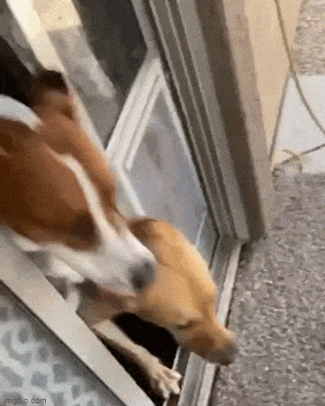 Просто гифки, всякие и&nbsp;разные