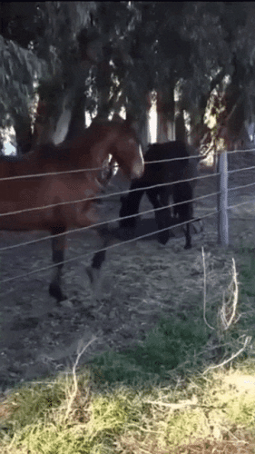 Просто гифки, всякие и&nbsp;разные