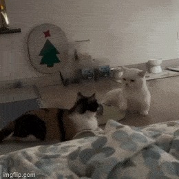 Просто гифки, всякие и&nbsp;разные