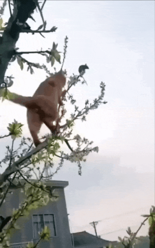 Просто гифки, всякие и&nbsp;разные