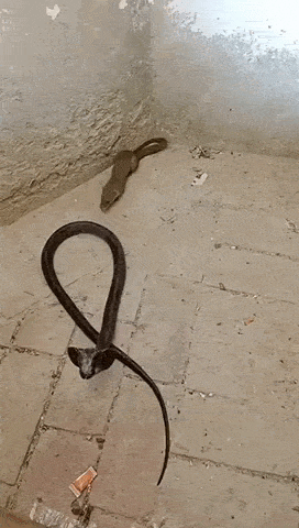 Просто гифки, всякие и&nbsp;разные