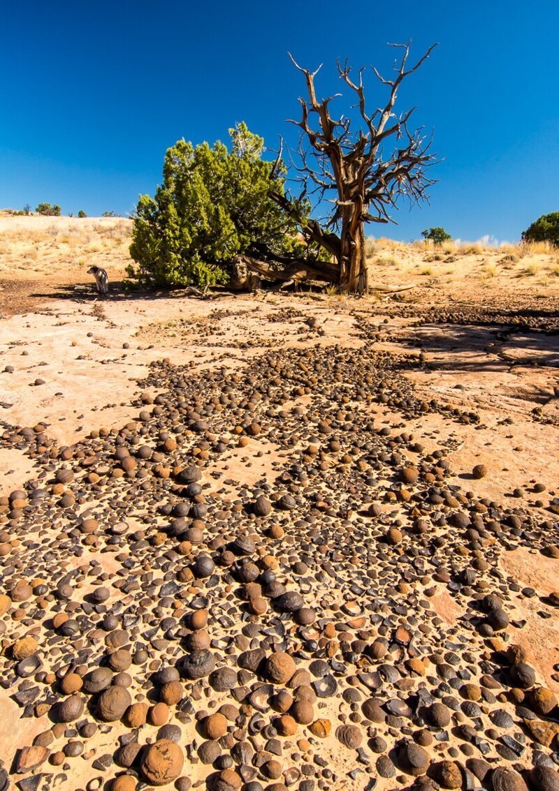 Загадка каменных ягод: от легенд хопи до марсианских тайн