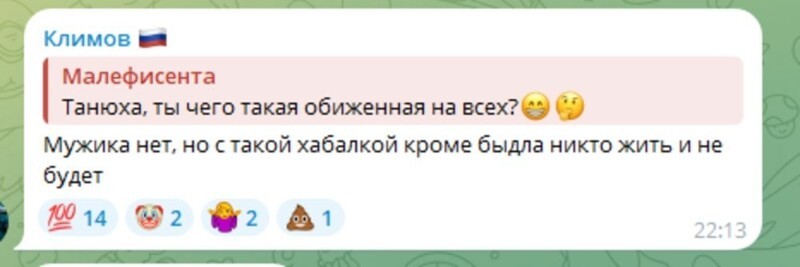 "С такой хабалкой никто жить не будет": краснодарцы пожаловались на депутата Климова, хамящего своим подписчикам