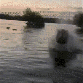 Просто гифки, всякие и&nbsp;разные