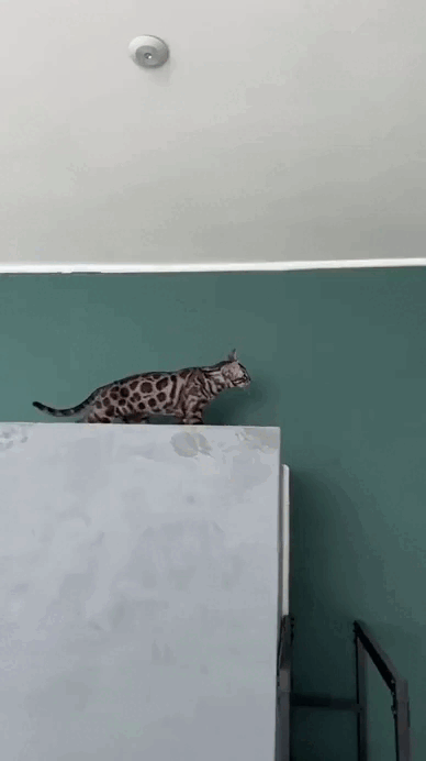 Просто гифки, всякие и&nbsp;разные