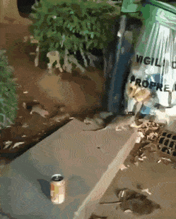 Просто гифки, всякие и&nbsp;разные