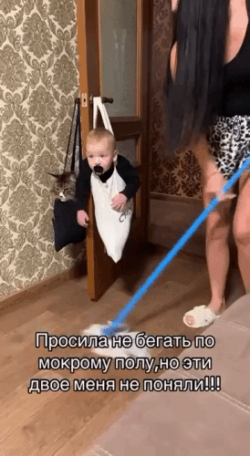 Просто гифки, всякие и&nbsp;разные