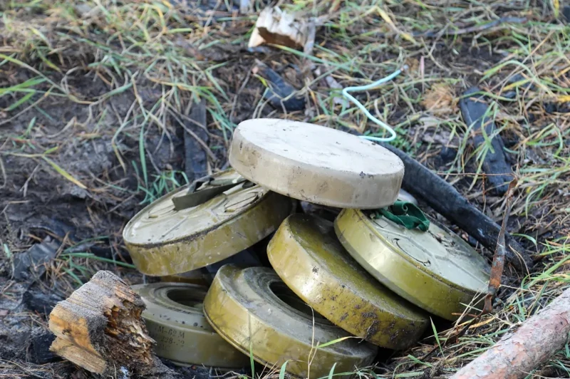 Корейские солдаты на Курской дуге