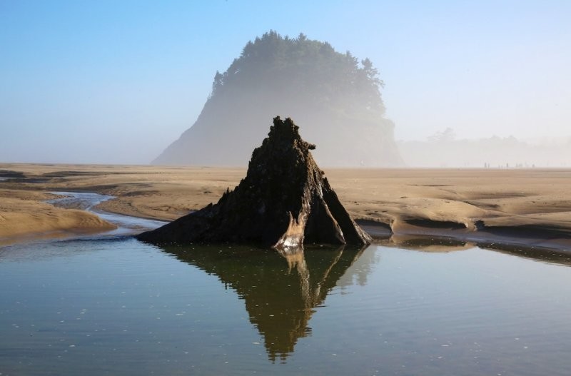 Лес-призрак Несковин – мистический страж орегонского побережья