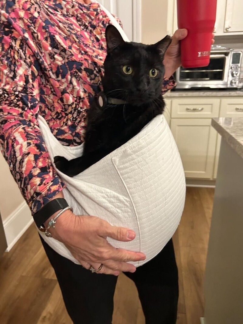 3. Активно, но лениво помогать своим кожаным